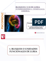 Neuropsicología - Sesión 2 - Los Bloques de Luria (I y Ii)