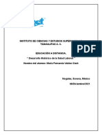 Desarrollo Histórico de La Salud Laboral