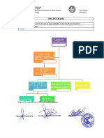 Form 08 ORGANIGRAMA Obs