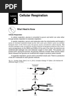 Q2 Week 3 Cellular Respiration