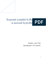 Referat Expertul Contabil in Romanina