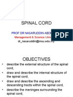 Spinal Cord: Prof DR Nasaruddin Abdul Aziz