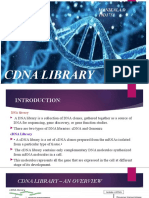 cDNA Library