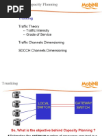 GSM Network Capacity Planning: Trunking