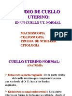 Estudio de Cuello Uterino (Normal)