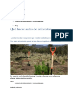 Qué Hacer Antes de Reforestar: 3. Blog