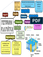 Mapa Mental Membrana Plasmática