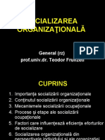 Tema 13. Socializarea Organizaţionala