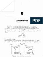 Chp06 Carbohidratos