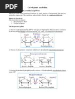 Carbohydrate Metabolism: Glycolysis (Embden-Meyerhof-Parnas Pathway)