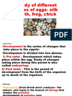 Embryology, Types of Egg