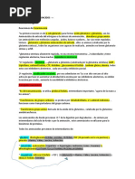 Biosintesis Aminoacidos Resumen