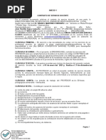 Anexos para Contrato Docente y Su Renovación