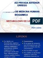 Lipidos 1