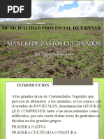 Establecimiento de Pastos Cultivados