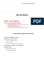 Plan de Afaceri