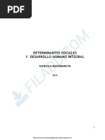 Mozobancyk Determinantes Sociales y Desarrollo Humano Integral