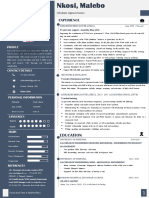 CV Template