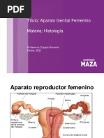 Sistema Reproductor Femenino