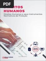 Direitos Humanos e Seus Instrumentos Normativos de Protecao