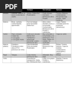 Cuadro Comparativo, Tipos de Materiales