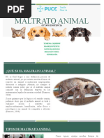 El Maltrato Animal