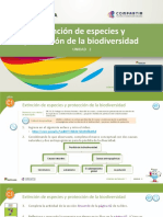 Extincion y Proteccion de La Biodiversidad