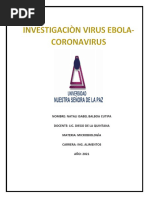 Virus Ebola-Coronavirus-Natali Balboa