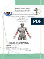 Anatomia de Codo y Antebrazo