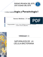 TEMA 3. Naturaleza de La Célula Bacteriana