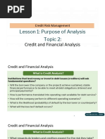 Lesson1 Topic 2 Credit and Financial Analysis-Notes