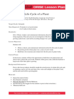 Life Cycle of A Plant