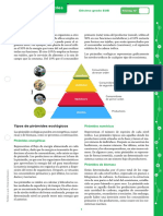 10EGB Pirámide-Ecológica