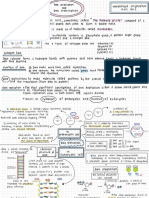 Mindmap Dna