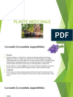 Plante Medicinale