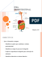 Sistema Gastro-Intestinal