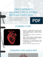 Anatomia Sistema Cardiaco y Circulatorio 2