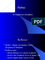 Reflex: DR Raghuveer Choudhary