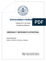 Microbiota y Obesidad TFG-M-N1621