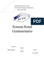 El Sistema Renal y Genitourinario