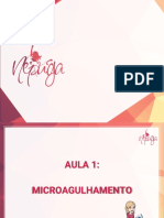 Microagulhamento Aula 1 (2019)