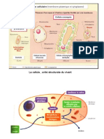 Chap 4 Enzymes