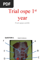 Trial Ospe 1 Year: From PPSP Usmkk