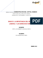 Ensayo La Importancia Del Derecho Laboral y Los Derechos Humanos