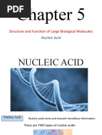 Chapter 5 - Nucleic Acid