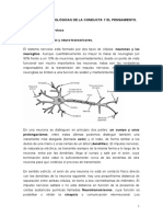 Tema-2 Bases Biológicas de La Conducta