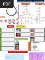 Embriologia General y Especial