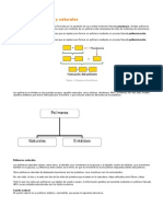 Polímeros Sintéticos y Naturales