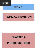 TERM 1 Chapter 6 Topical Revision