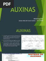 Biosintesis de Auxinas